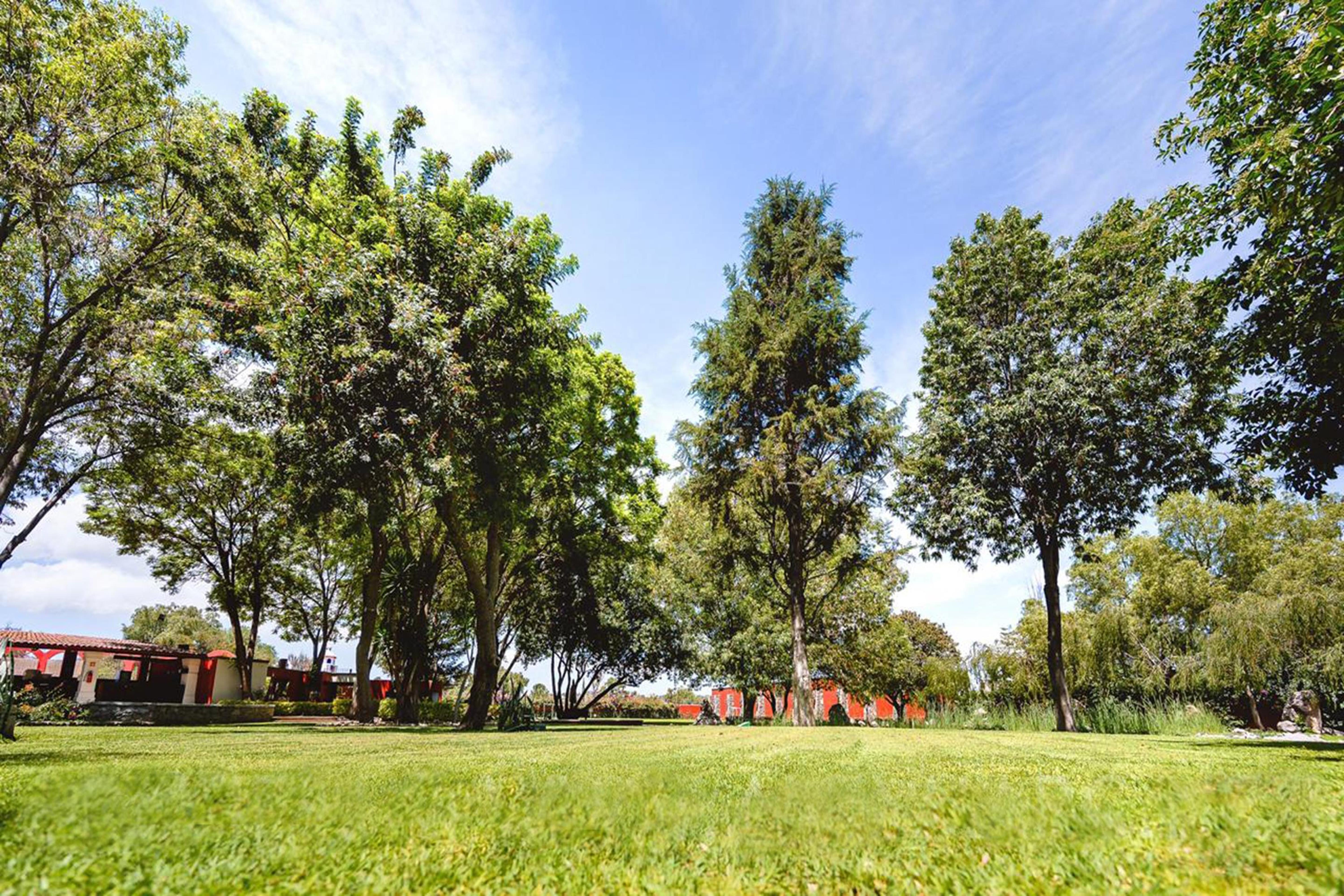 Real De Minas San Miguel De Allende Buitenkant foto The park
