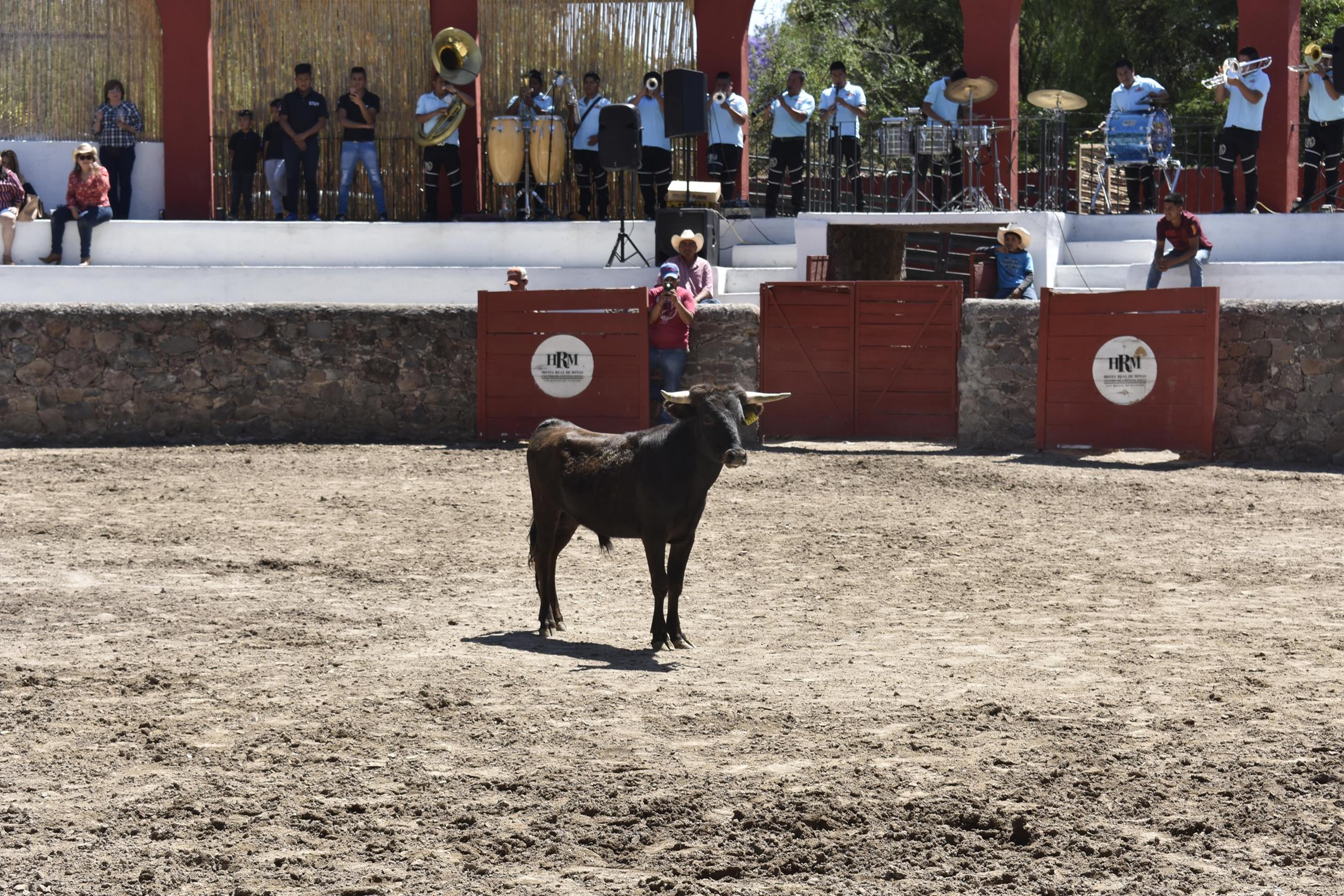 Real De Minas San Miguel De Allende Buitenkant foto A bull in the bullring