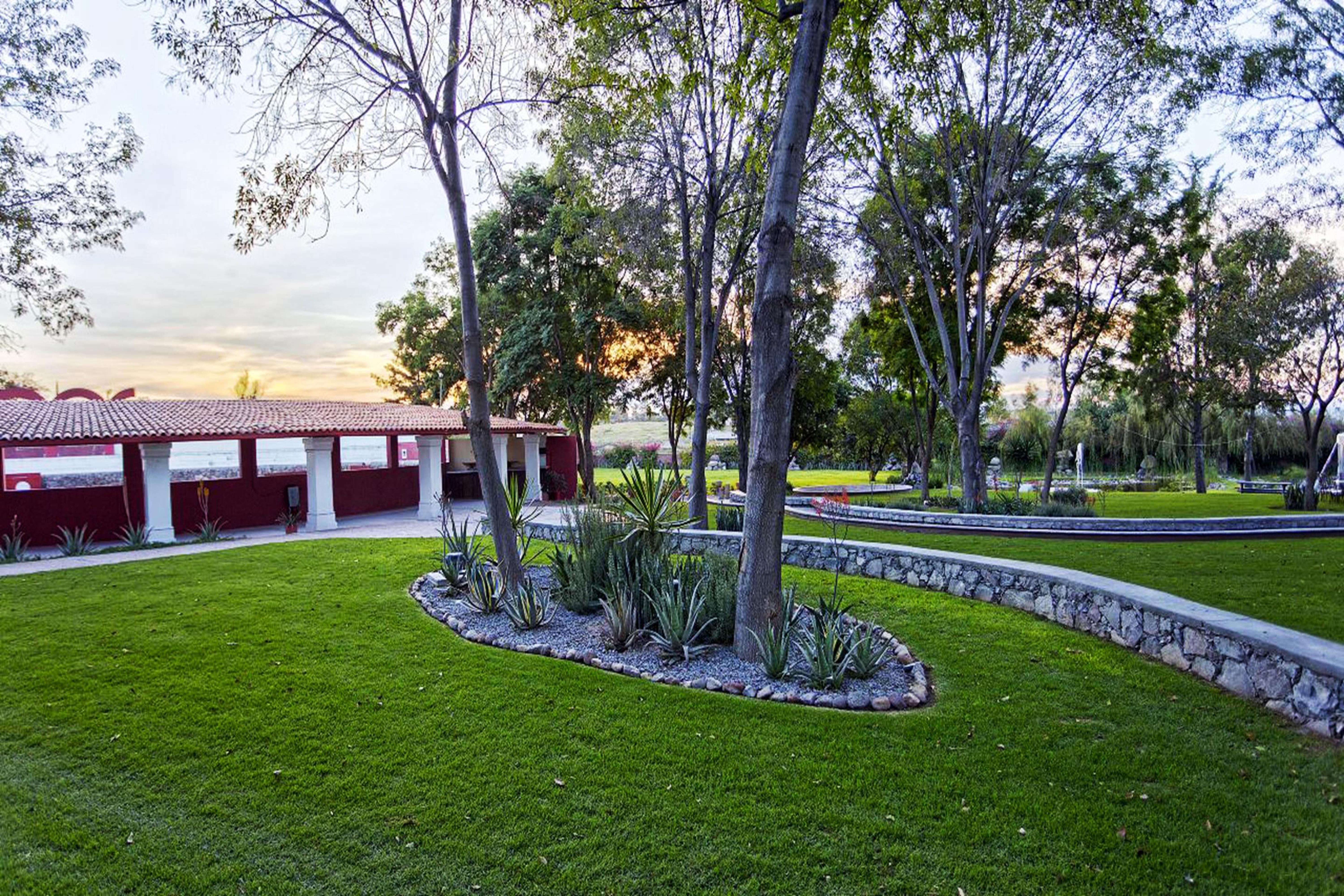 Real De Minas San Miguel De Allende Buitenkant foto View of the park