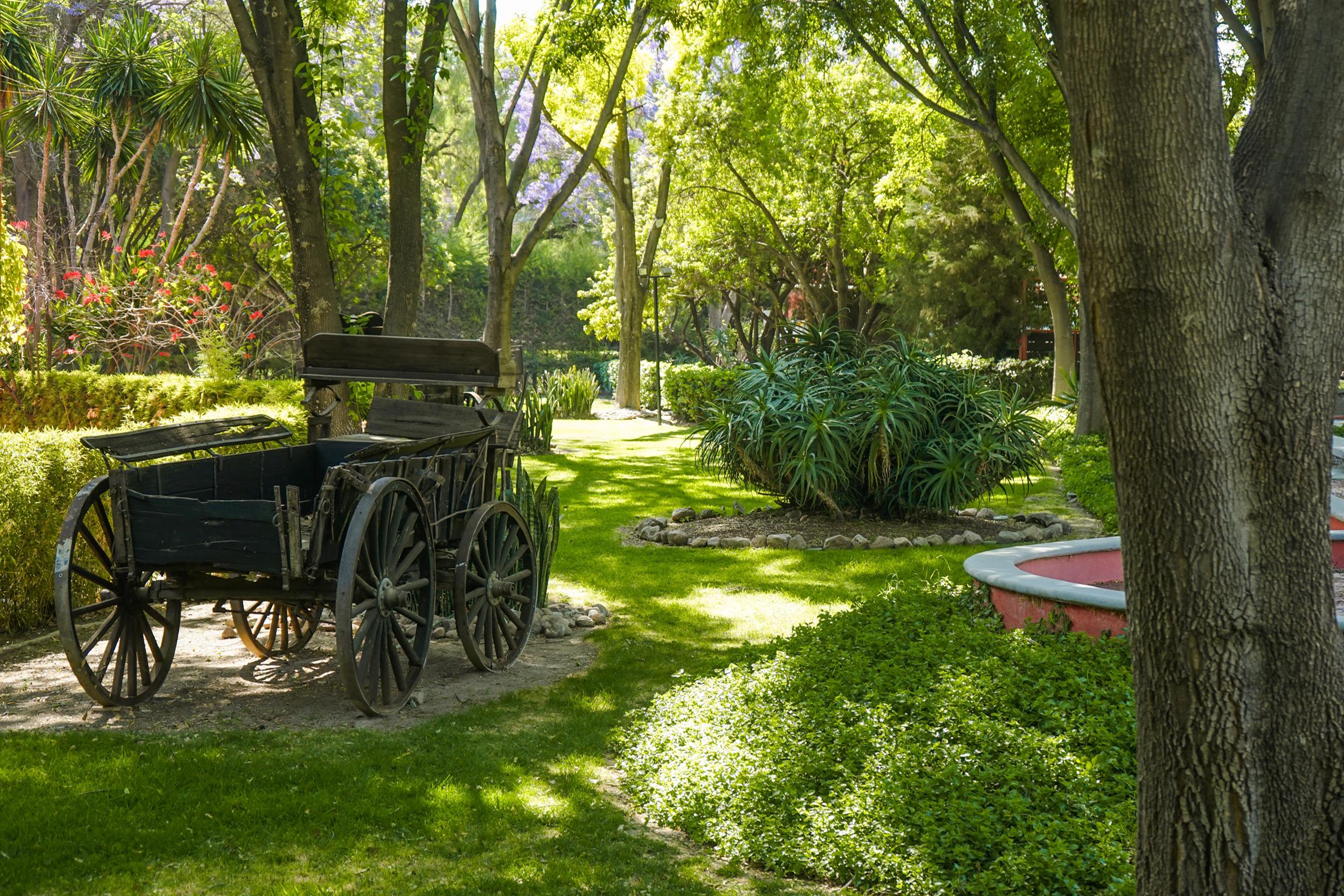 Real De Minas San Miguel De Allende Buitenkant foto The gardens of the museum